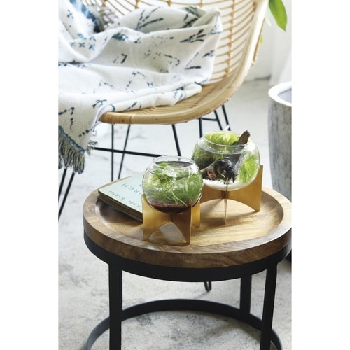 花瓶 ガラスボウルベース S インブルーム