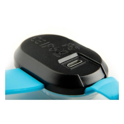 ライト 散歩 犬 マックス&モーリー ブルー