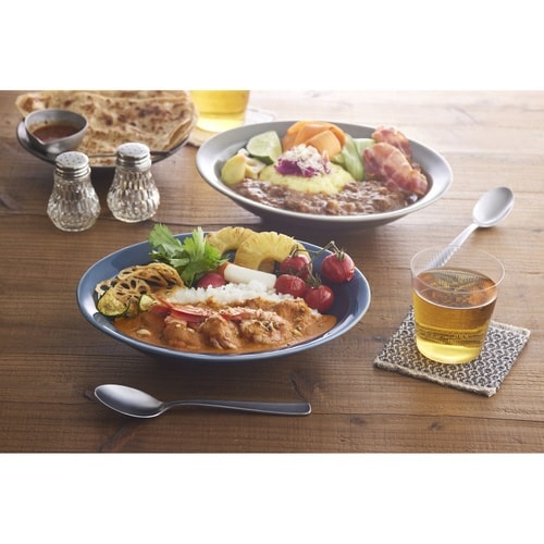 カレー皿 スプーンセット 25cm 逸品窯 グレー