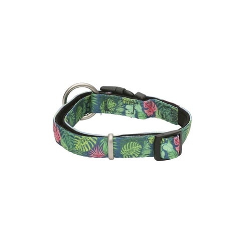 首輪 小型犬 S マックス&モーリー トロピカル