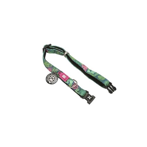 首輪 小型犬 XS マックス&モーリー トロピカル