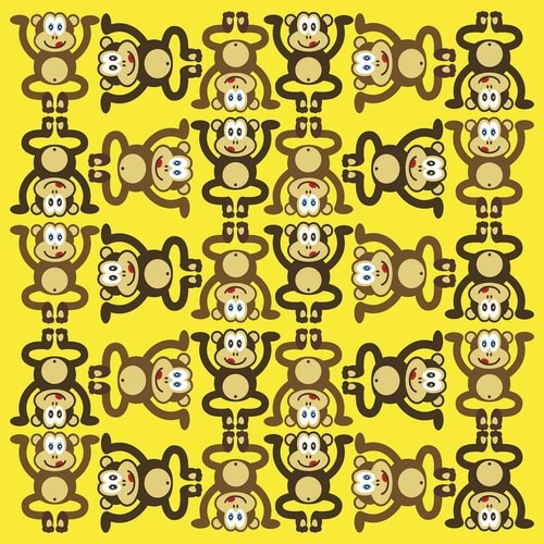 首輪 小型犬 XS マックス&モーリー モンキー