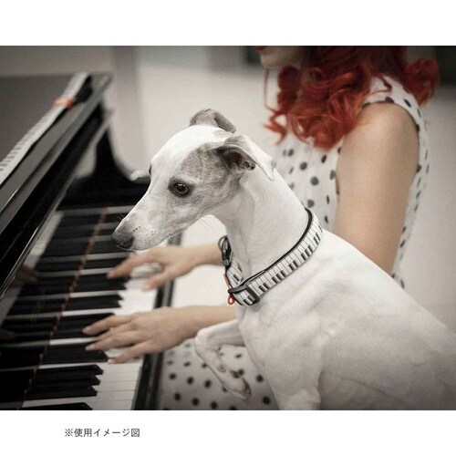 首輪 中型犬 M マックス&モーリー ピアノ