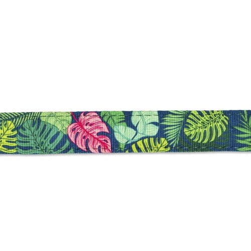 首輪 中型犬 M マックス&モーリー トロピカル