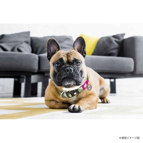 首輪 中型犬 M マックス&モーリー トロピカル