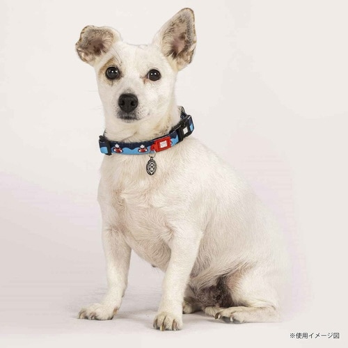 首輪 大型犬 L フレンジーシャーク