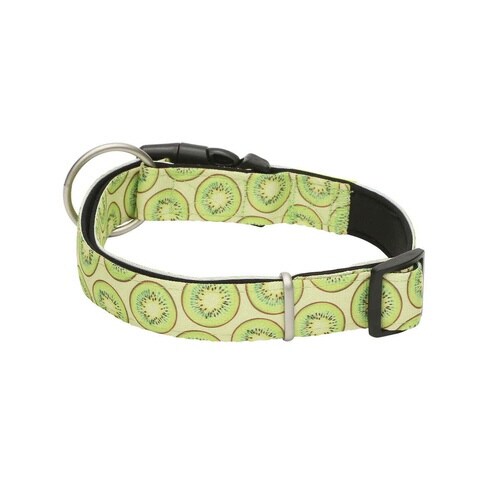 首輪 大型犬 L マックス&モーリー キウイ