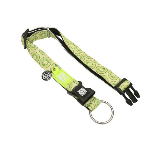 首輪 大型犬 L マックス&モーリー キウイ