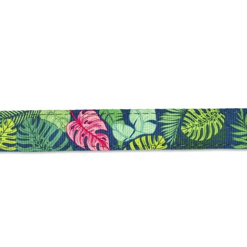 首輪 大型犬 L マックス&モーリー トロピカル