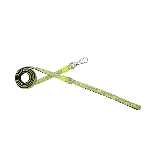 リード 小型犬 XS マックス&モーリー キウイ