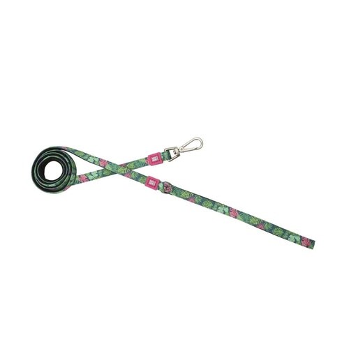 リード 小型犬 XS トロピカル