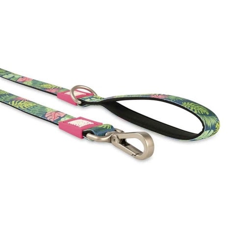 リード 小型犬 XS トロピカル