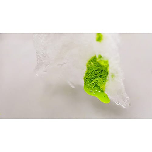 アカパックン あひる さる ねこ サル