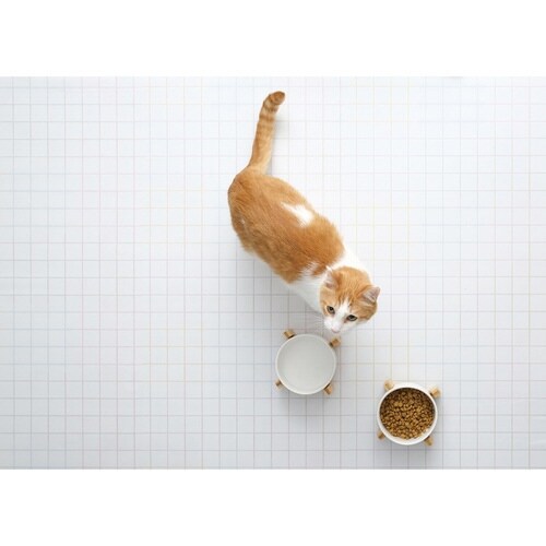 リメイクシート 床用 mt CASA 目地色タイル