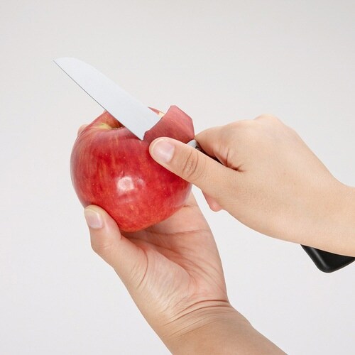 フルーツナイフ 12cm SELECT100