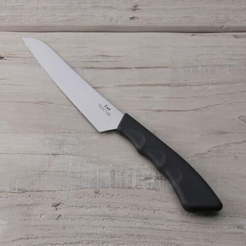 フルーツナイフ 12cm SELECT100