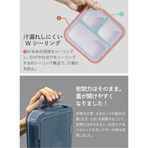 弁当箱 薄型弁当箱 抗菌フードマン500 パープル