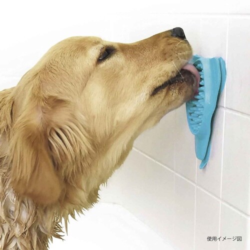 フードボウル 早食い防止 ループ ターコイズ