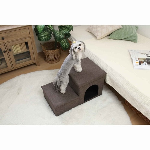 ドッグステップ チャコール