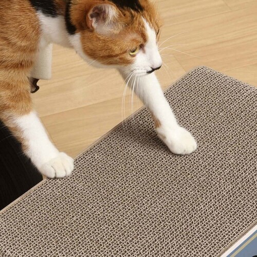 爪とぎ 猫の爪とぎ 缶詰 猫 ダンボール 長持ち