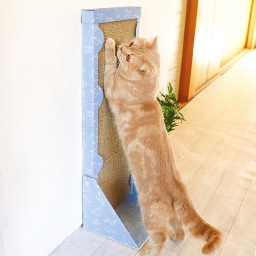 背中のびのび縦型爪とぎ 猫 ハイタイプ