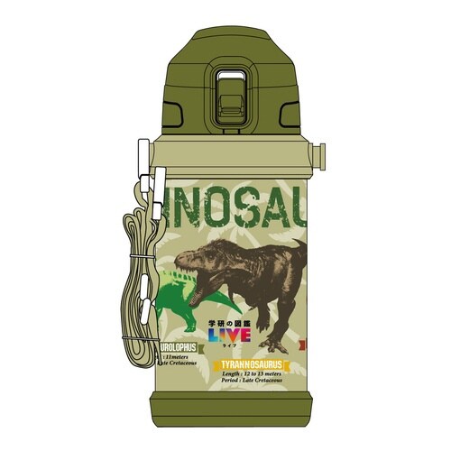 水筒 600ml ダイレクトステンレスボトル