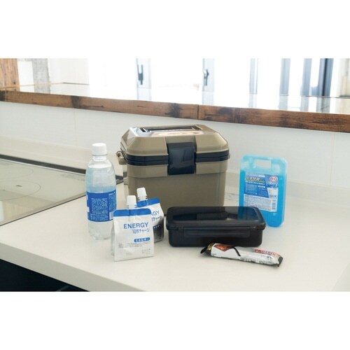 クーラーボックス 5L 小型 サンドベージュ