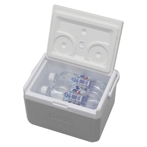 クーラーボックス 5L グレー