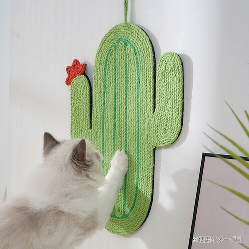 爪とぎ 猫 MewooFun カクタス