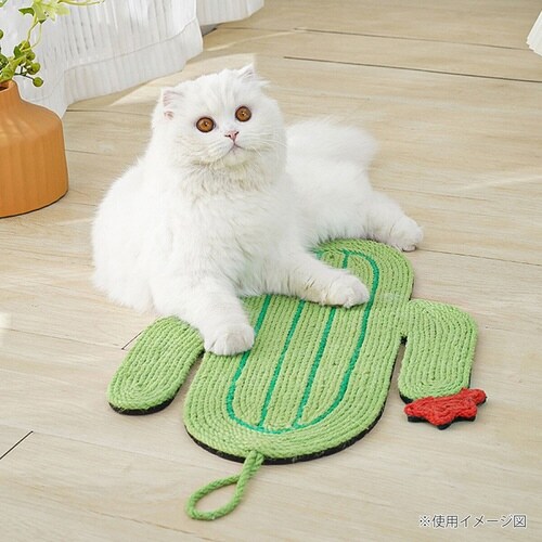 爪とぎ 猫 MewooFun カクタス