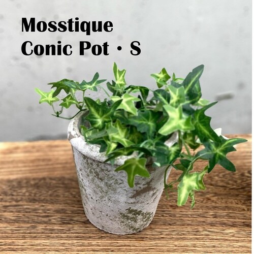 植木鉢 モスティーク コニックポット S