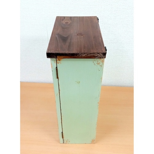 壁掛け 棚 ラルモニ グリーン