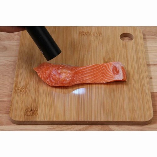 アニサキスライト 充電式 寄生虫対策