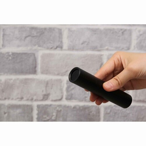 アニサキスライト 充電式 寄生虫対策