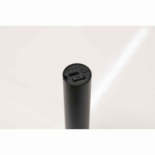 アニサキスライト 充電式 寄生虫対策