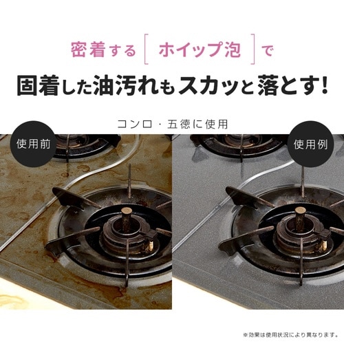 洗剤 油汚れ用 業務用