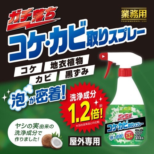洗剤 業務用 ガチ落ち コケ カビ取り 泡タイプ