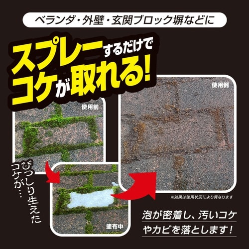 洗剤 業務用 ガチ落ち コケ カビ取り 泡タイプ