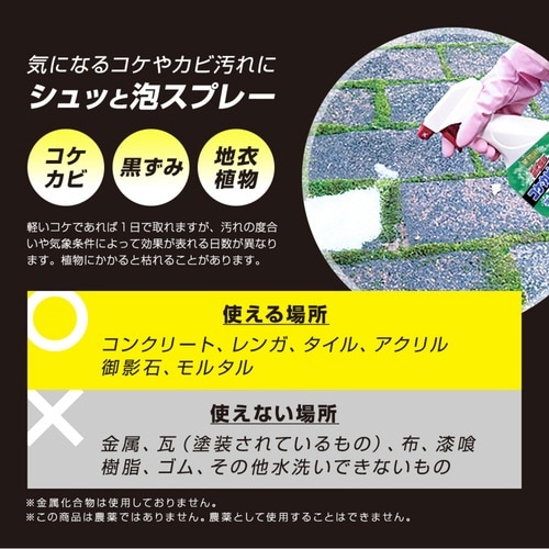 洗剤 業務用 ガチ落ち コケ カビ取り 泡タイプ