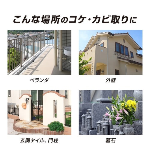 洗剤 業務用 ガチ落ち コケ カビ取り 泡タイプ