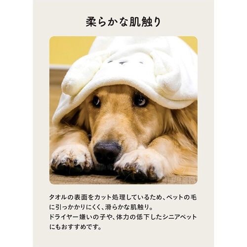 タオル ペット カラリペット アニマルローブ L