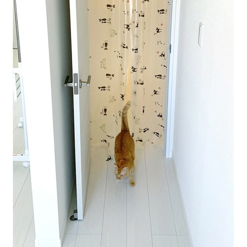 間仕切り のれん ペット用 冷気 遮断保温 黒ねこ