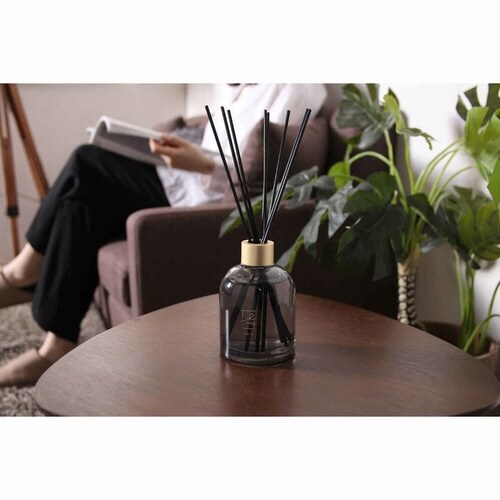 リードディフューザー LACSA Advance