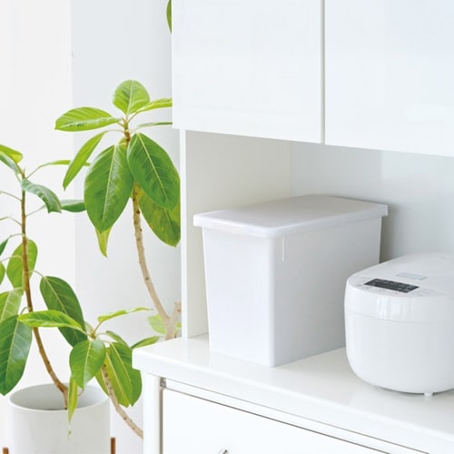 米びつ 12kg S密閉米びつ ホワイト