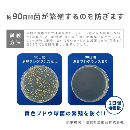 消臭剤 90日間消臭フレグランス ミントスカッシュ