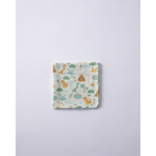 スタイ ハンカチ 靴下 ダイナソー