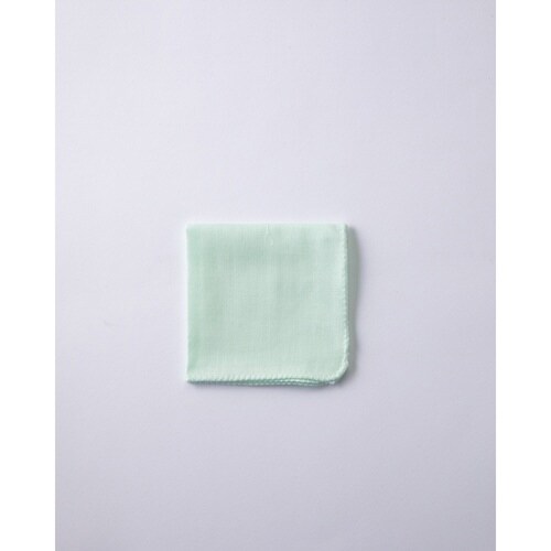 スタイ ハンカチ 靴下 ダイナソー