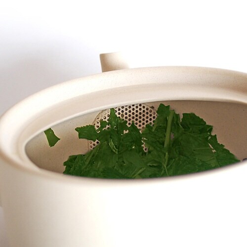 急須 460ml ロクサン ホワイト