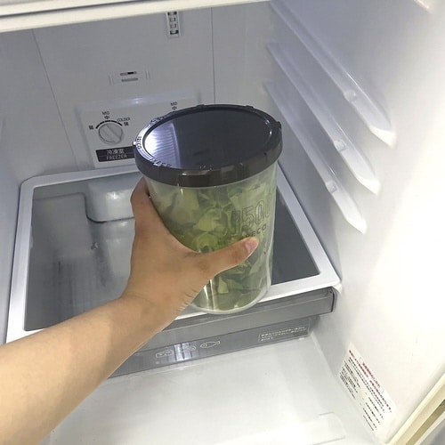 保存容器 IRECO 食品保存容器 Lサイズ