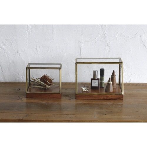 ショーケース アルテン ブラスショーケース S